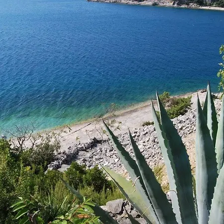 Uckar Apartament